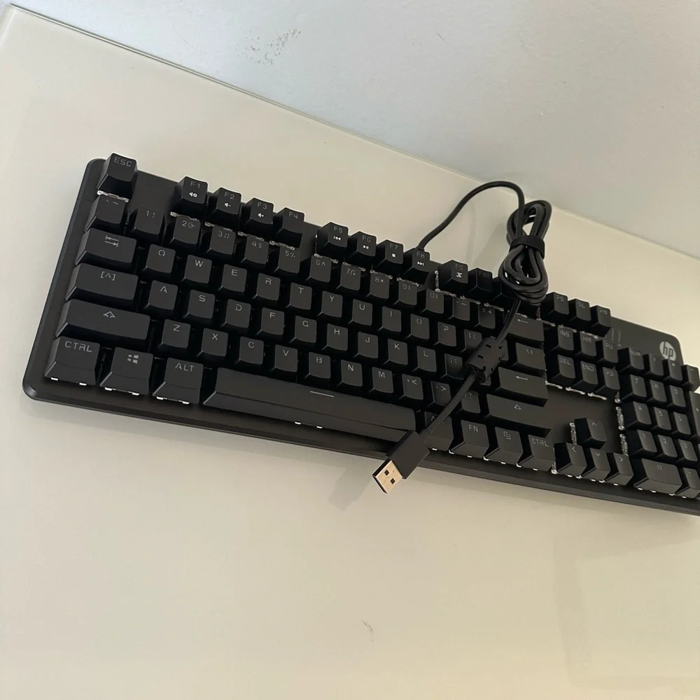 HP COMPUTER KEYBOARD MODEL HSA - D0O6K - NEW!